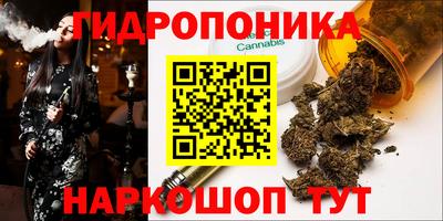 spice Усть-Джегута