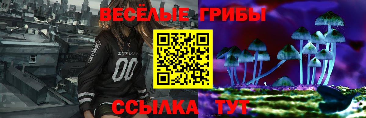 Галлюциногенные грибы Psilocybe Можга