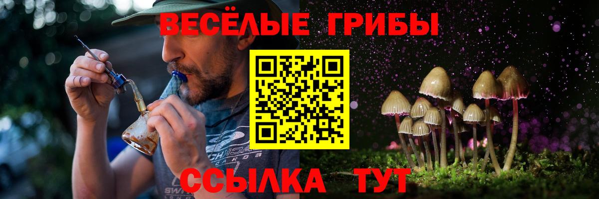 Псилоцибиновые грибы GOLDEN TEACHER  Галлюциногенные грибы ЛСД  Вход с VPN  Можга 