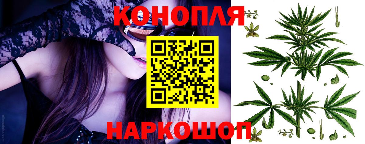 Бошки марихуана Amnesia Можга